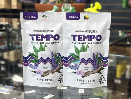 Tempo Live Resin Super Glue 1g All-In-One